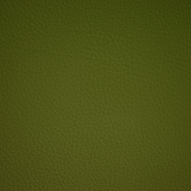 F6669 Forest by Greenhouse Fabric