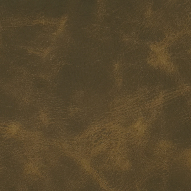 F3791 Hazelnut by Greenhouse Fabric