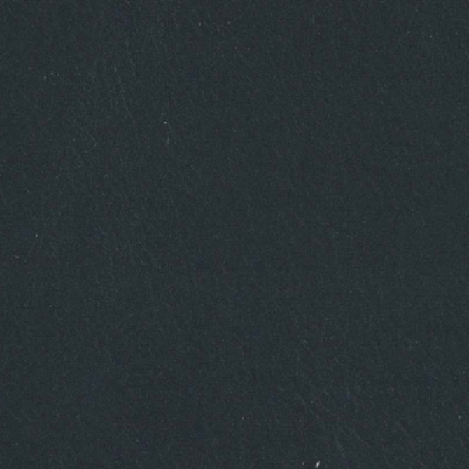 F3792 Black by Greenhouse Fabric