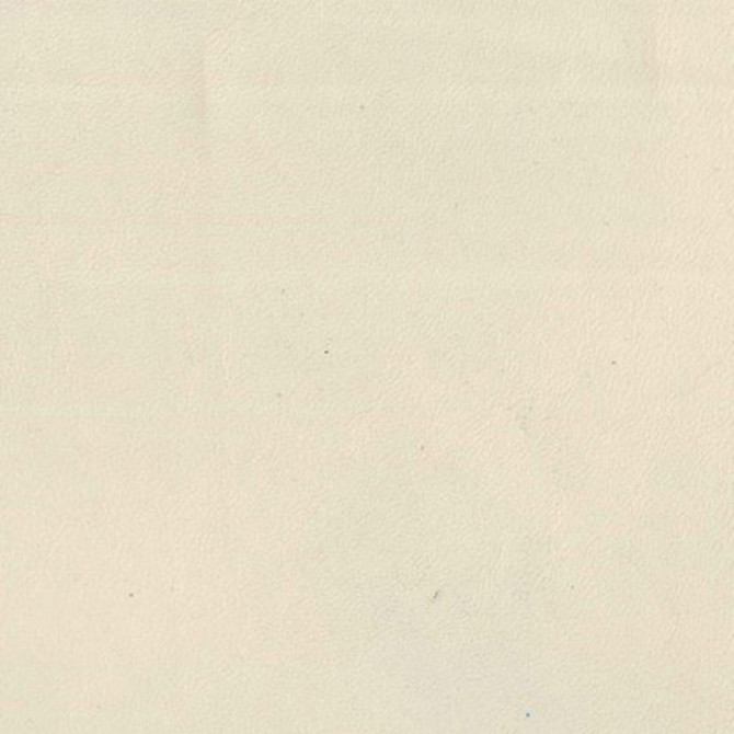 F3846 Ivory by Greenhouse Fabric