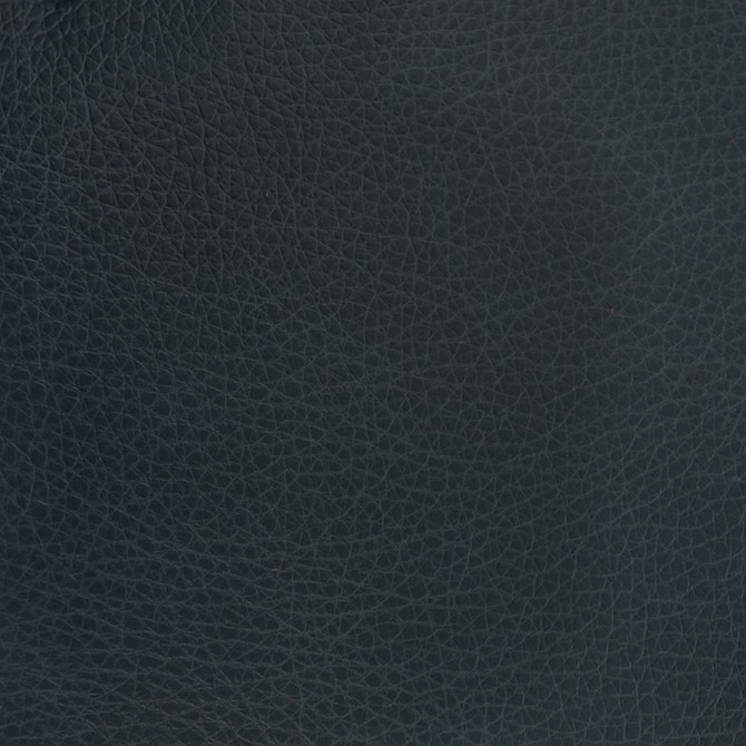 F3830 Rio by Greenhouse Fabric