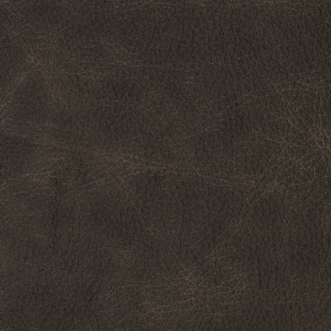 F2070 Dark Roast by Greenhouse Fabric