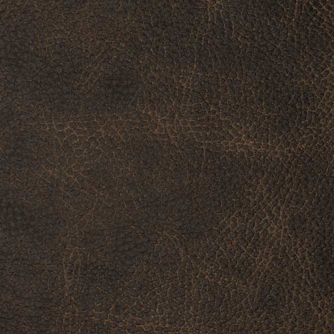 F2096 Bandwagon by Greenhouse Fabric