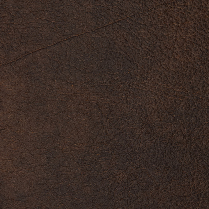 F2100 Brown by Greenhouse Fabric