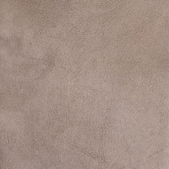 B5124 French Beige by Greenhouse Fabric