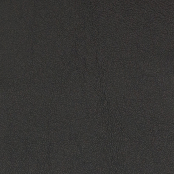 75473 Ebony by Greenhouse Fabric