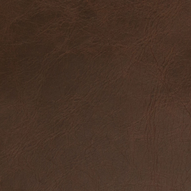 75240 Chocolate by Greenhouse Fabric