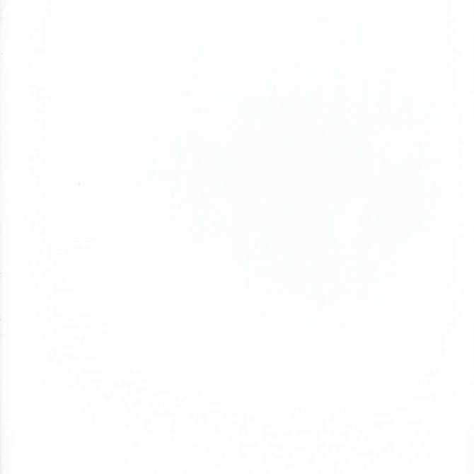 118 Super Voile Winter White by Heritage Fabric - 100% Polyester - Turkey - 118" - Fabric Carolina -