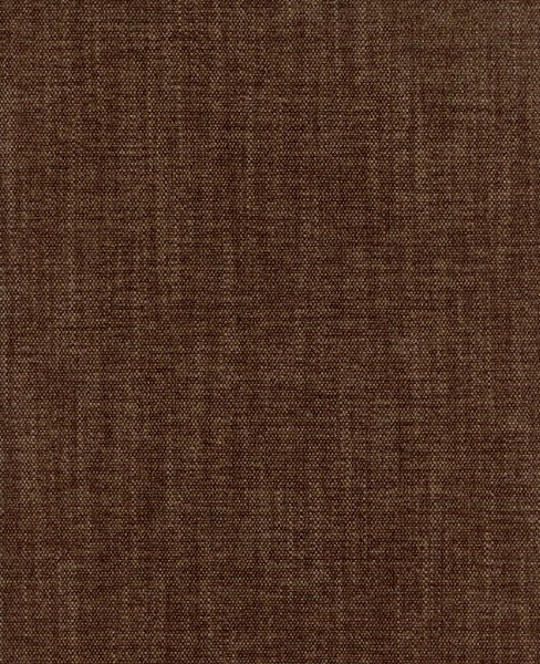 Mulligan Cocoa by Roth & Tompkins Fabric - 100% Polyester - India - 101,000 - 54" - Fabric Carolina -