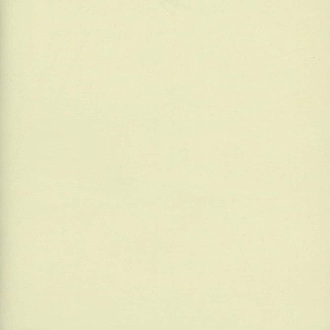 Oasis Champagne by Heritage Fabric - 100% Polyester - Turkey - 118" - Fabric Carolina -