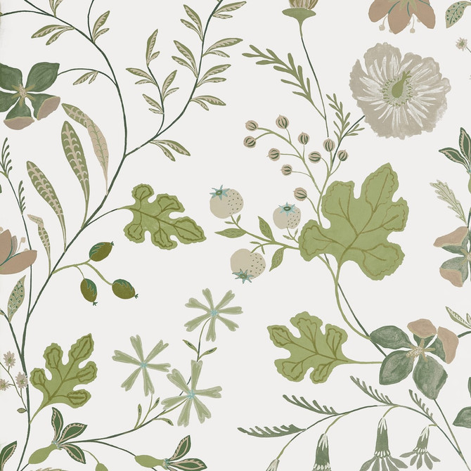 Bloom Sage T14625 by Thibaut Wallpaper Thibaut Wallpaper Bloom Sage T14625Wallpaper FAIRHAVEN Non Woven Repeat: H: , V: 36 27 - Fabric Carolina -
