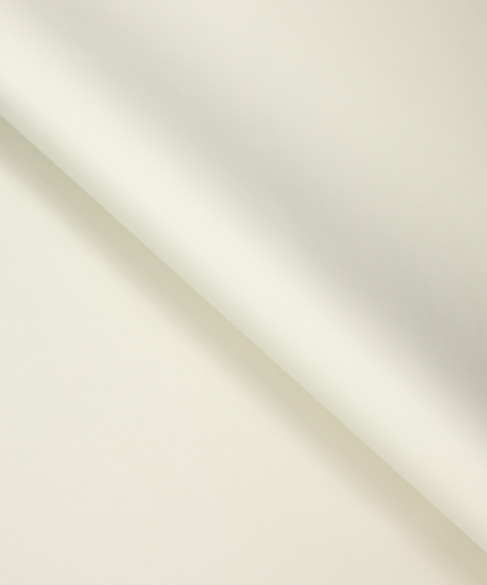 Boone 21001 by Barrow Fabric 26C04 100% PVC Turkey 120,000+ DOUBLE RUBS Repeat: Horizontal: 0" and Vertical: 0" 54" - Fabric Carolina -