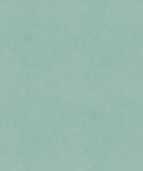 Serenity 12001 by Barrow Fabric 26C01 100% POLYESTER KNIT PILE FABRIC China 60,000 DOUBLE RUBS Repeat: Horizontal: 0" and Vertical: 0" 57" - Fabric Carolina -