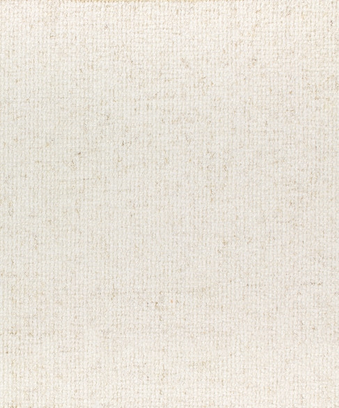 Luminosity 2 Natural by Barrow Industries Fabric AB254 Galileo 96% POLYESTER, 4% LINEN China 36,000 DOUBLE RUBS Repeat: Horizontal: 0" and Vertical: 0" 56" - Fabric Carolina -