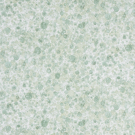 Ethereal Element Mint by Carole Designer Fabric La Petite 100% COTTON PAKISTAN 15,000 Wyzenbeek Double Rubs 13 1/2" V, 13 1/2" HD 54" Carole Fabrics Fabric - Swanky Fabrics -