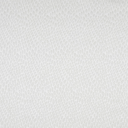 Seed Packet Diamond by Carole Designer Fabric Archival Influences 100% POLYESTER INDIA 5 3/4" V 4 1/2" H 54" Carole Fabrics Fabric - Swanky Fabrics -