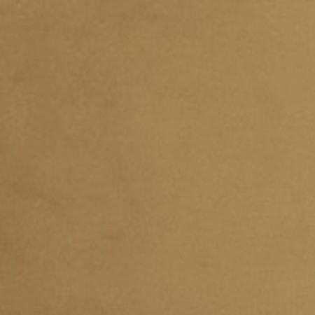 Deluxe Touch Camel by Carole Fabric Warm Embrace 100% Polyester Knit Backing China None 55" Carole Fabrics Fabric - Fabric Carolina -