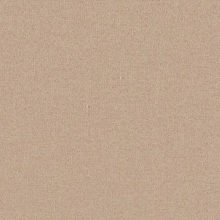 Eclipse Latte by Carole Fabric Eclipse 100% Polyester-Acrylic Backing China None 55" Carole Fabrics Fabric - Fabric Carolina -