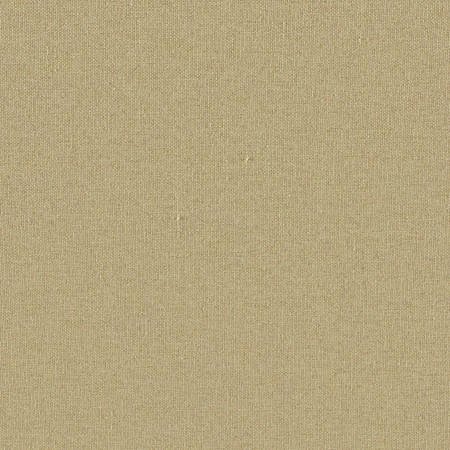 Eclipse Olive by Carole Fabric Eclipse 100% Polyester-Acrylic Backing China None 55" Carole Fabrics Fabric - Fabric Carolina -