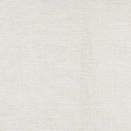 On Your Terms Straw by Carole Fabric Everyday Basics 100% Olefin USA None 55" Carole Fabrics Fabric - Fabric Carolina -