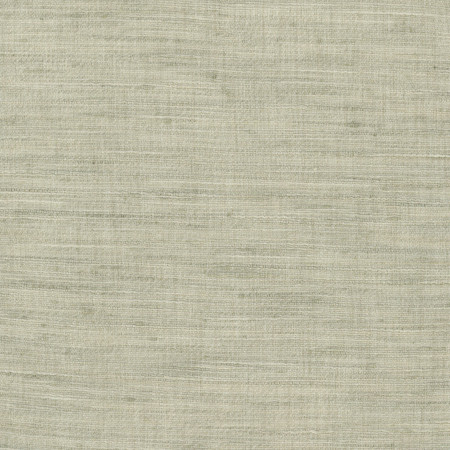 So Be It Celadon by Carole Fabric Emerald Bay 100% Polyester India None 54" Carole Fabrics Fabric - Fabric Carolina -