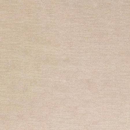 Soft Landing Sand by Carole Fabric Everyday Basics 100% Polyester China None 54" Carole Fabrics Fabric - Fabric Carolina -