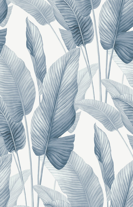 Mantra Rainy Sky AG60002 by Seabrook Designs Wallpaper Bali Tropical Nonwoven United States 60.75 sq ft 27" Seabrook Wallpaper - Fabric Carolina -