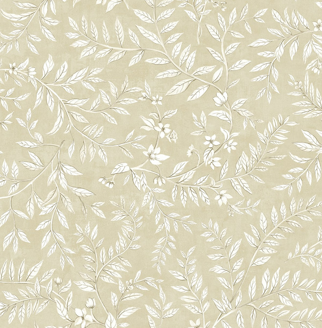 Vining Leaf Trail Milled Oat DB20905 by Daisy Bennett Designs Peel and Stick Wallpaper Daisy Bennett Peel and Stick Nonwoven United States 30.75 sq ft 20.5" Seabrook Peel and Stick Wallpaper - Fabric Carolina -