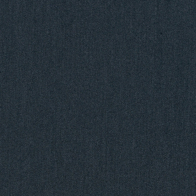 Camarosa Drive Midnight D98143 by Coraggio Fabric