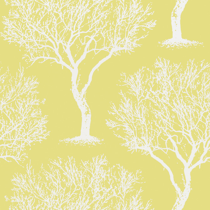 Winfell Forest Citron AT6003 by Anna French Wallpaper