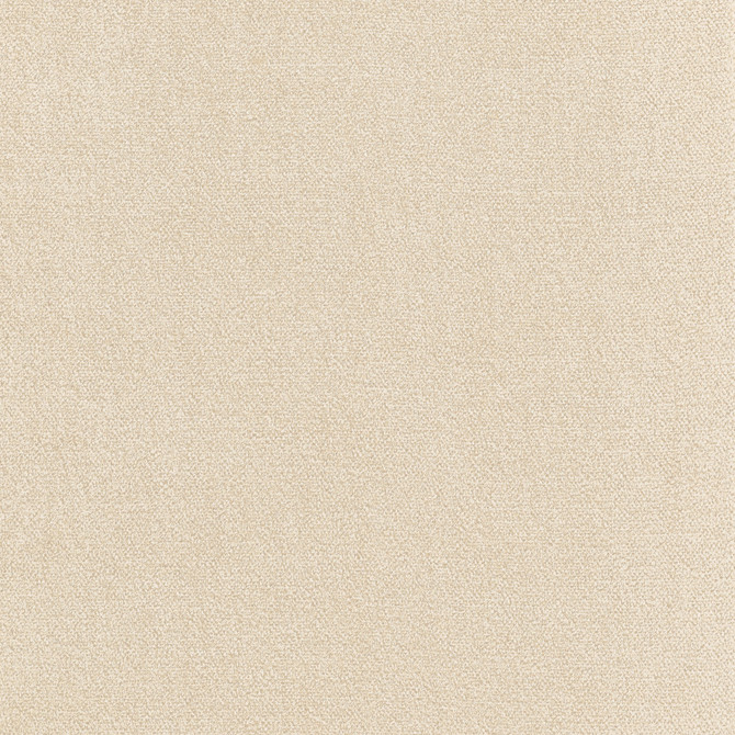 Royal Silk Mohair Velvet Beige U13000 by Coraggio Fabric