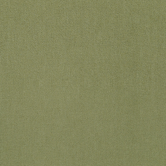 Royal Silk Mohair Velvet Olive U13001 by Coraggio Fabric