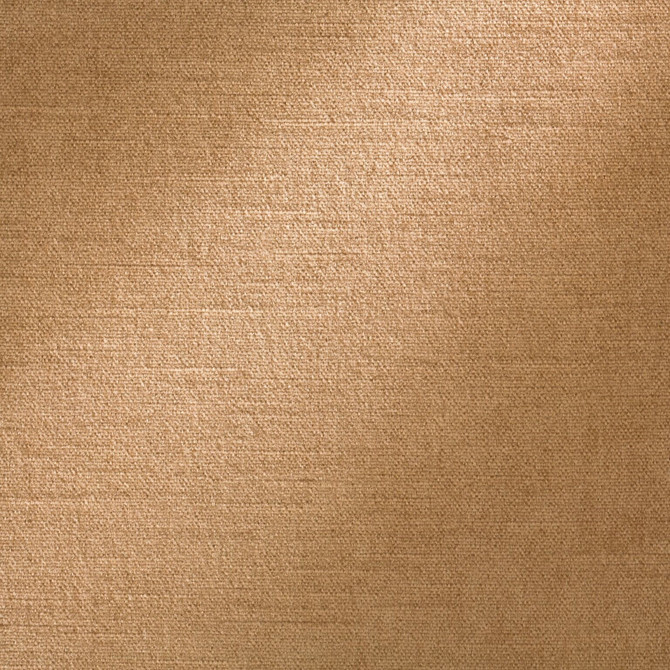 Royal Silk Mohair Velvet Light Raisin U13098 by Coraggio Fabric