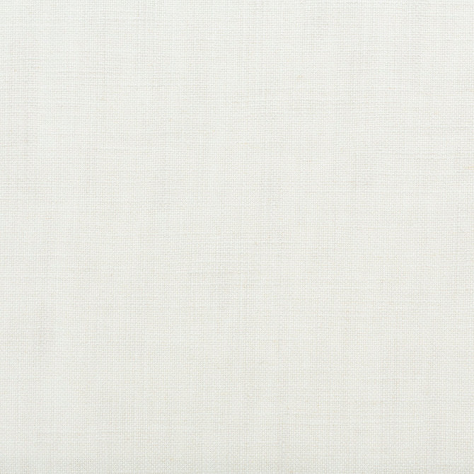 Primo Linen Palladian U71101 by Coraggio Fabric