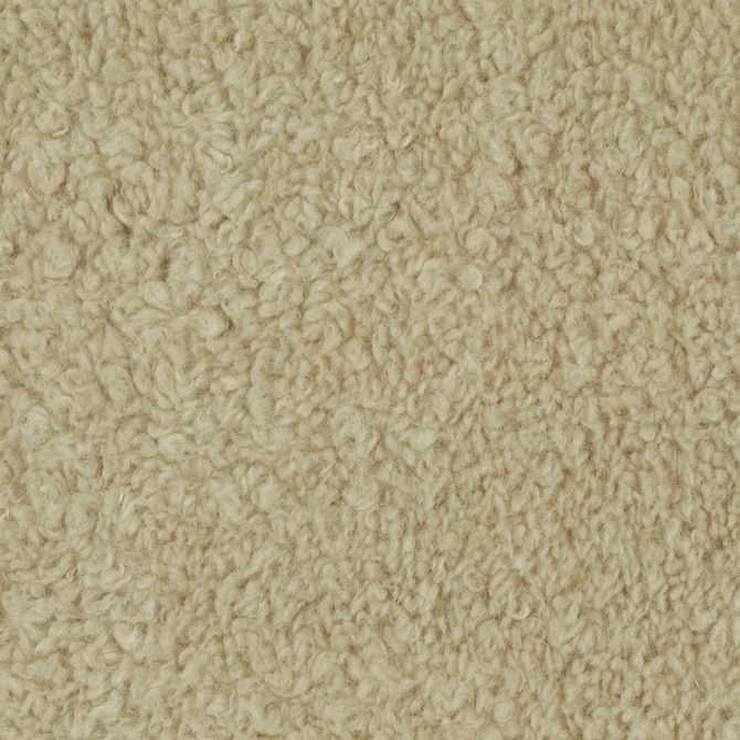Fur Kicks Oatmeal 481381 by PKL Studio Fabric