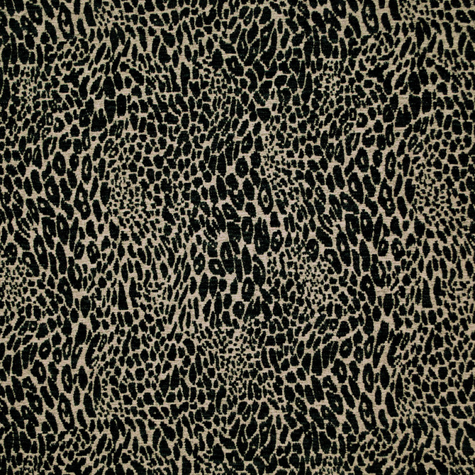 Pridelands Sable 481022 by PKL Studio Fabric