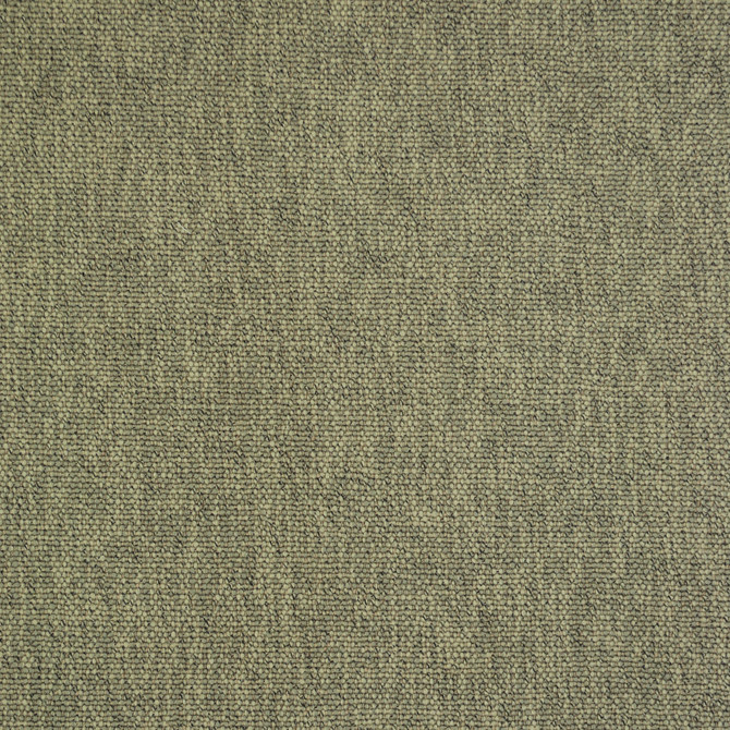 Cody Mushroom 473303 by PKL Studio Fabric