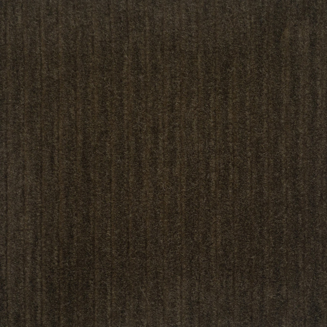 Torino # 311 Chocolate by Maxwell Fabric