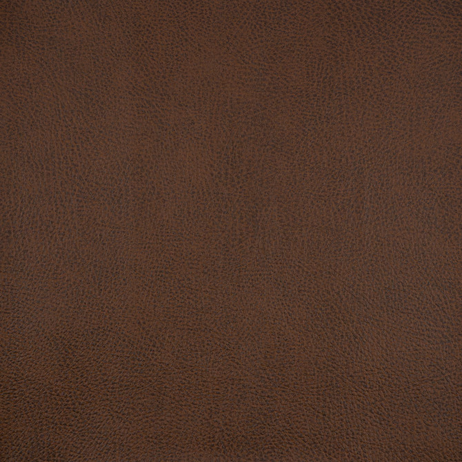 Spur # 806 Russet by Maxwell Fabric