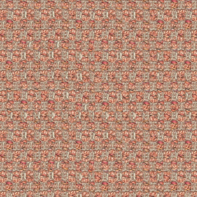 Trillian # 248 Blossom by Maxwell Fabric