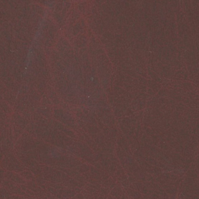 Pana Raisin by Europatex Fabric