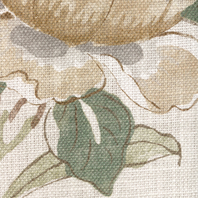 Symphony Petal by Kravet Couture Fabric