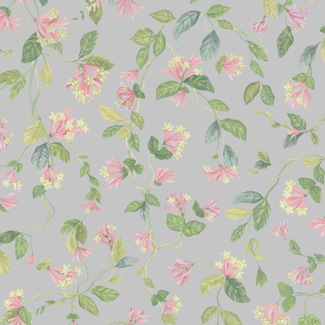 Grey/Pink by Cole & Son Wallcovering
