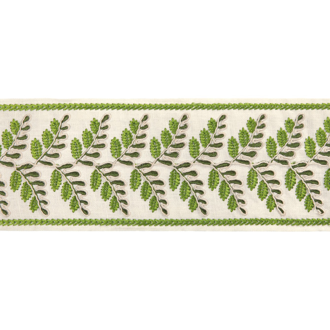 Fougere Border Leaf by Brunschwig & Fils Trim