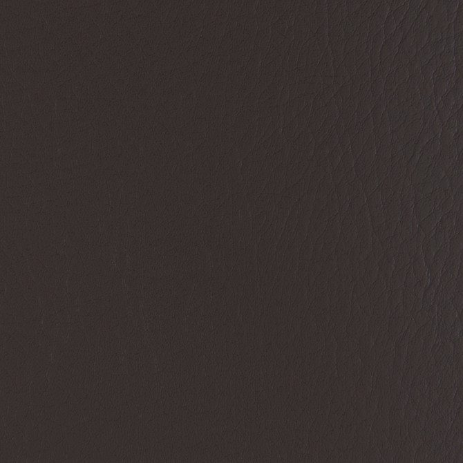 Forza Stallion by Kravet Contract Fabric