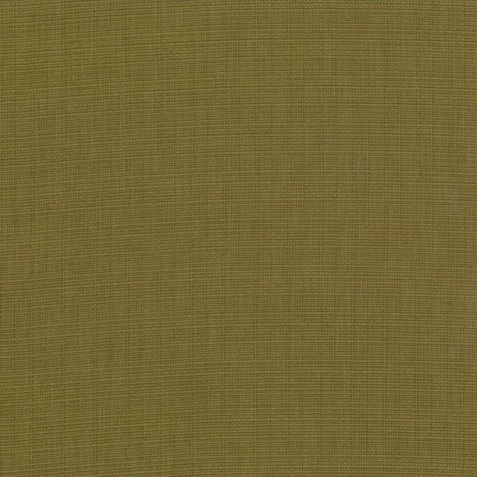 Auberge Olive by Kasmir Fabric 5055 100% Polyester TAIWAN 100,000 Wyzenbeek Double Rubs H: N/A, V:N/A 59 - 60 - Fabric Carolina - Kasmir