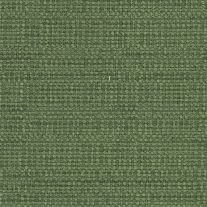 Aziza Grass by Kasmir Fabric 5099 55% Rayon 45% Polyester CHINA 50,000 Martindale Cycles Horizontal: 0 Inches and Vertical: 0 Inches 55 - 58 - Fabric Carolina -