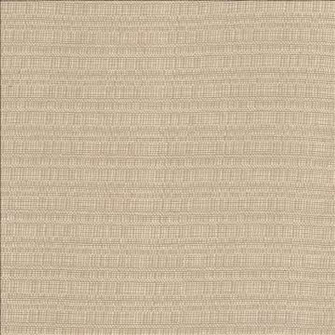 Aziza Sand by Kasmir Fabric 5092 55% Rayon 45% Polyester CHINA 50,000 Martindale Cycles H: N/A, V: N/A 55 - 58 - Fabric Carolina - Kasmir