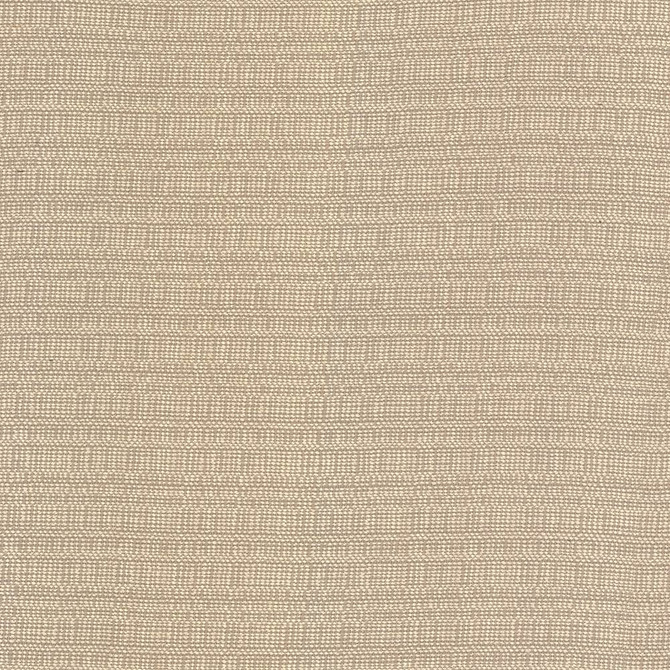 Aziza Sand by Kasmir Fabric 5092 55% Rayon
45% Polyester
 CHINA </p><p>Repeat: Horizontal: N/A and Vertical: N/A 55 - 58 - Fabric Carolina -