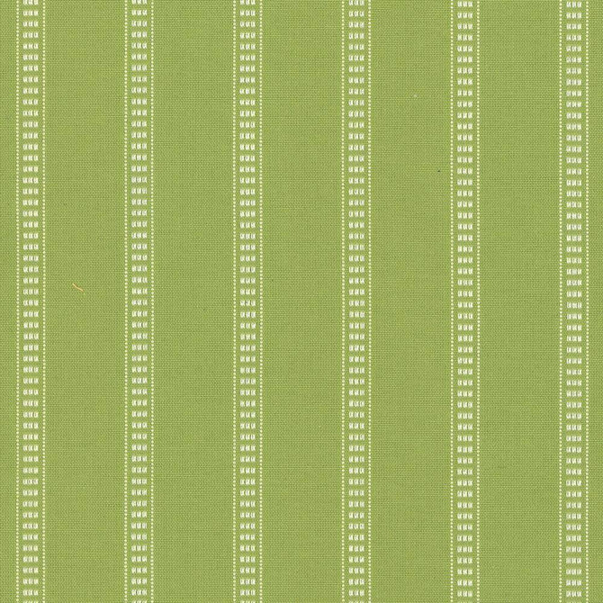 Babbo Stripe Palm by Kasmir Fabric 5074 90% Cotton 10% Polyester TURKEY 30,000 Wyzenbeek Double Rubs H: 1 4/8 inches, V:2/8 inches 54 - Fabric Carolina - Kasmir